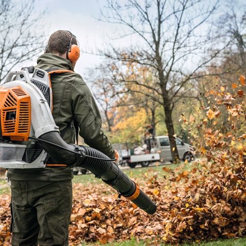 Alternative view of STIHL BR 800 C-E