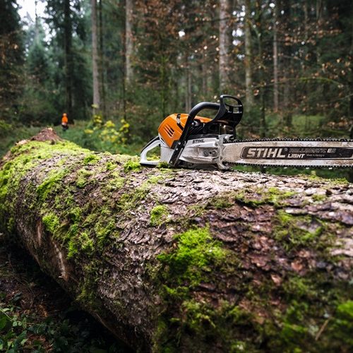 Alternative view of STIHL MS 500i