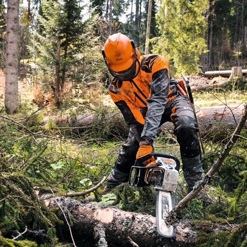 Alternative view of STIHL MS 462