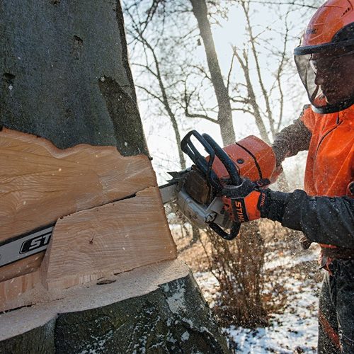 Alternative view of STIHL MS 661 C-M