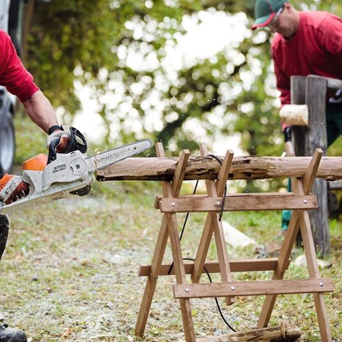 Alternative view of STIHL MSA 160 C-B